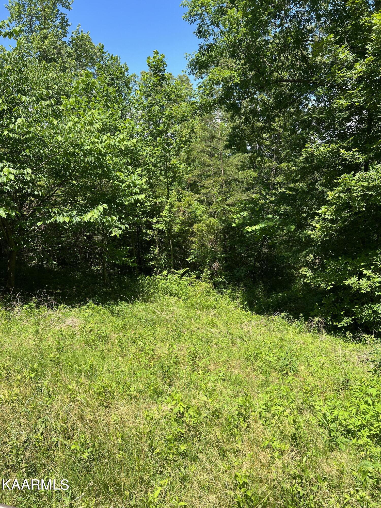 144 Bethlehem Church Road Madisonville, TN 37354 - Photo 21 of 25 IMG_1122