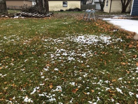 29 Surrey Road Montgomery, IL 60538 - Photo 21 of 26 a view of yard