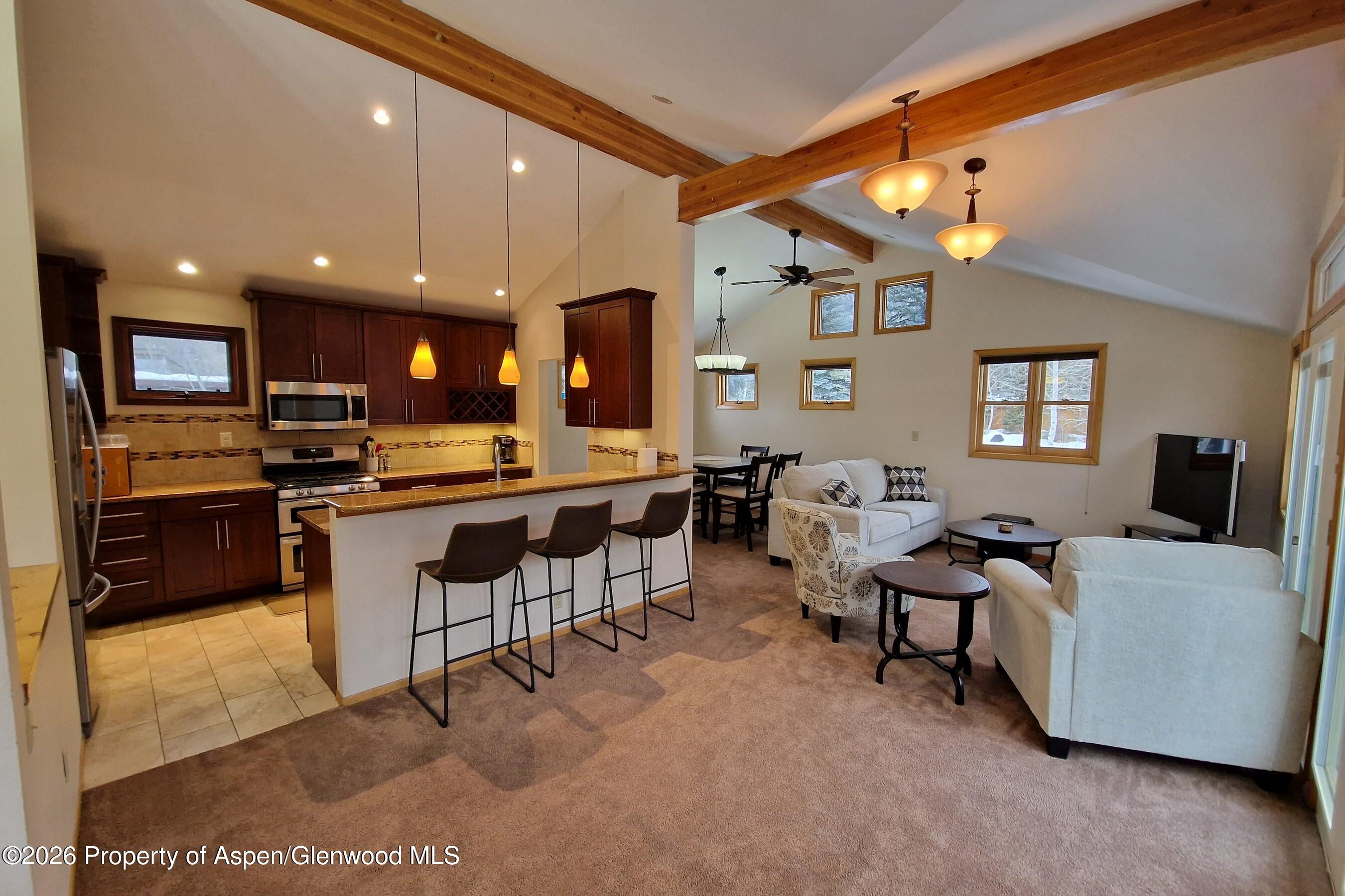 536 Spruce Street, Unit S 1 AND 2 Aspen, CO 81611 - Photo 2 of 7 20221228_151308
