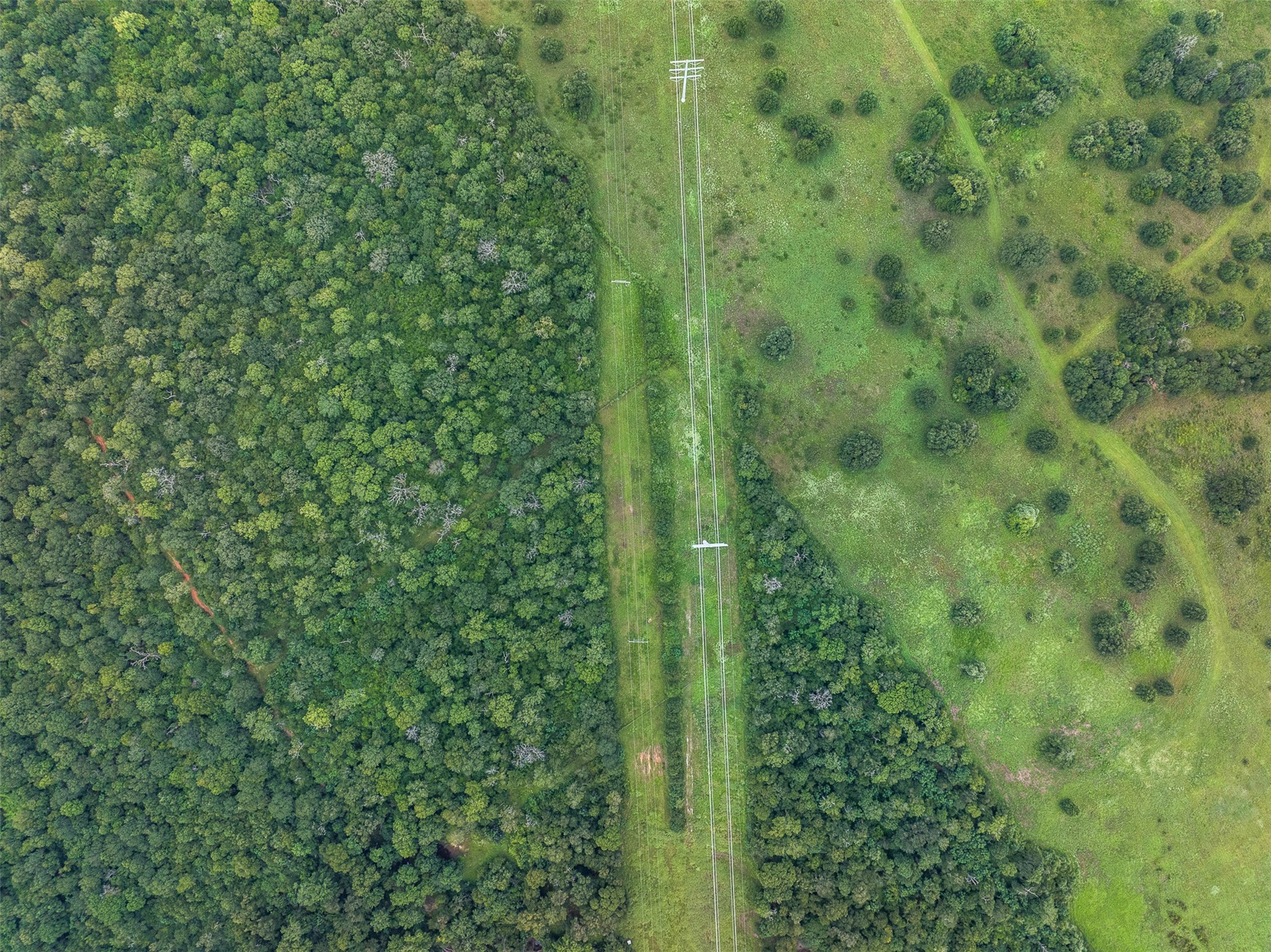 Tbd West Caney Road Normangee, TX 77871 - Photo 11 of 41 a view of a green field with lots of bushes