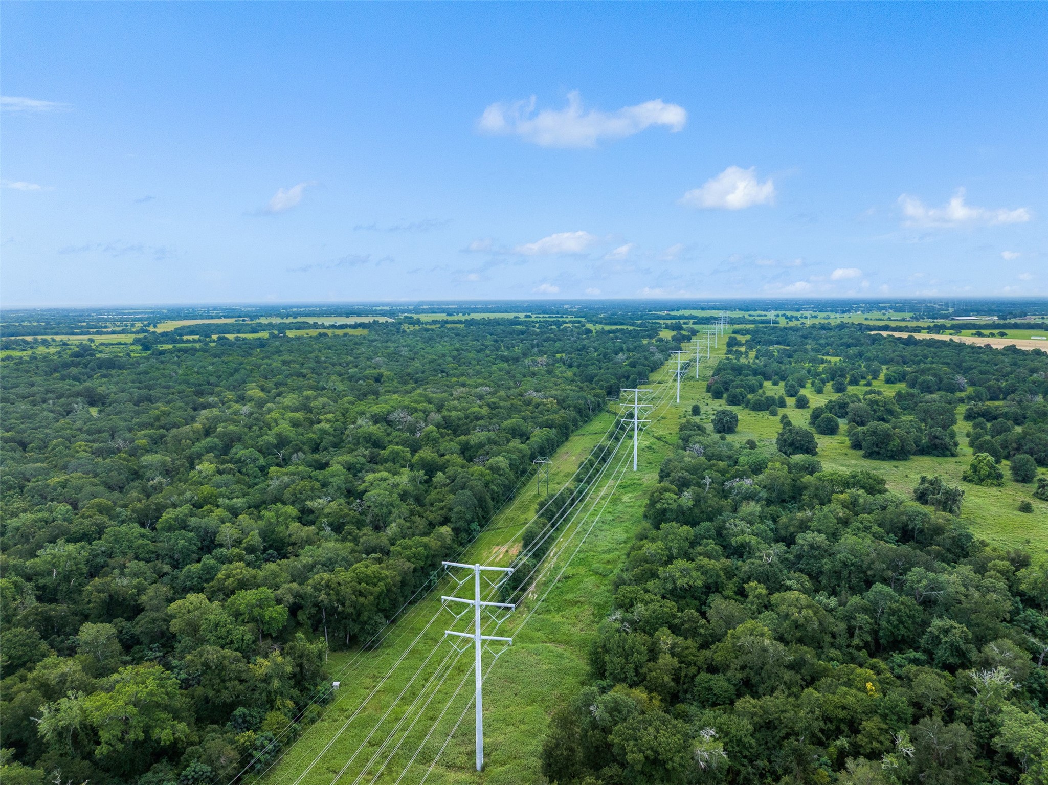 Tbd West Caney Road Normangee, TX 77871 - Photo 12 of 41 a view of a big yard with plants and large trees