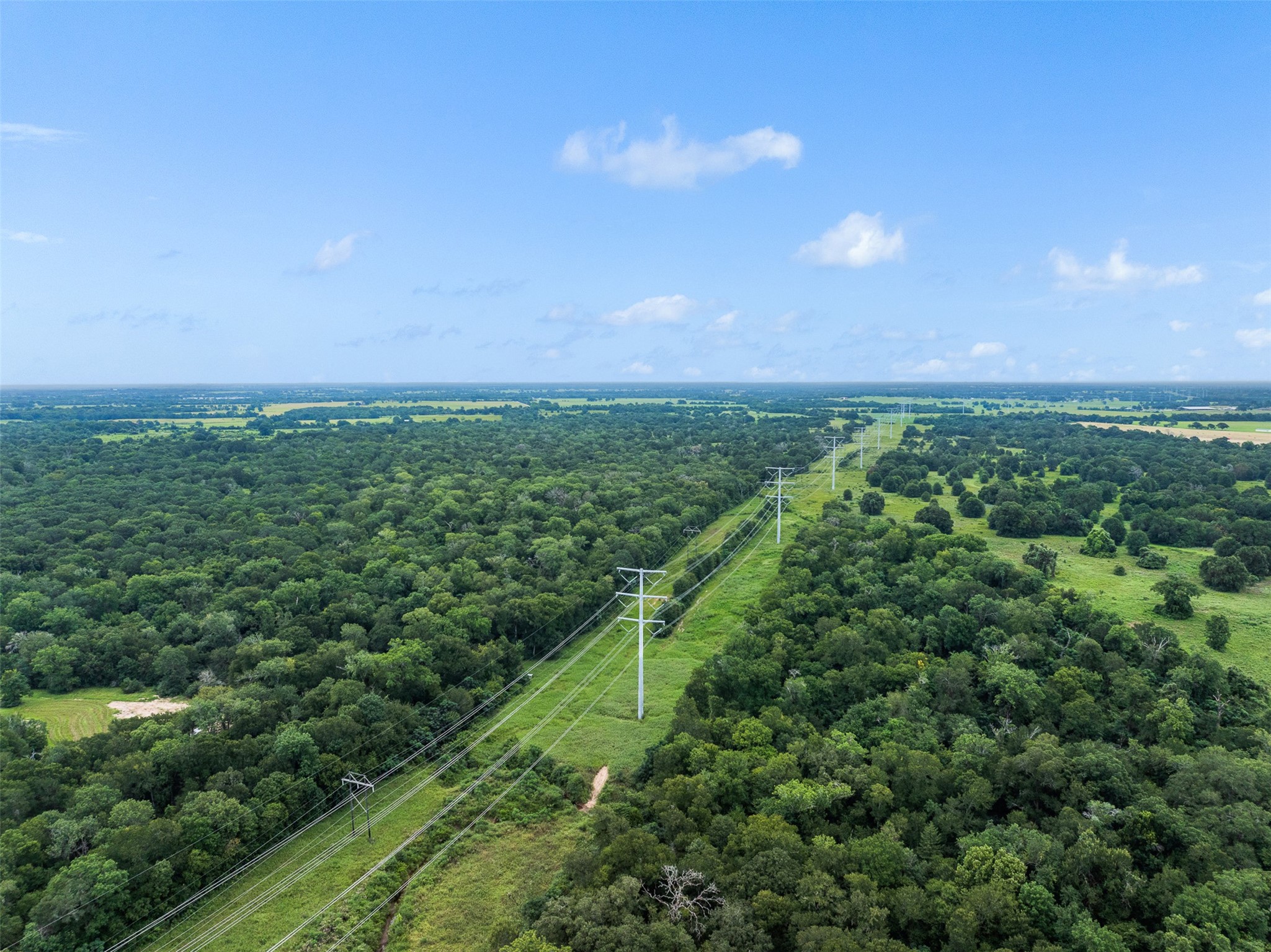 Tbd West Caney Road Normangee, TX 77871 - Photo 19 of 41 a view of a big yard with plants and large trees