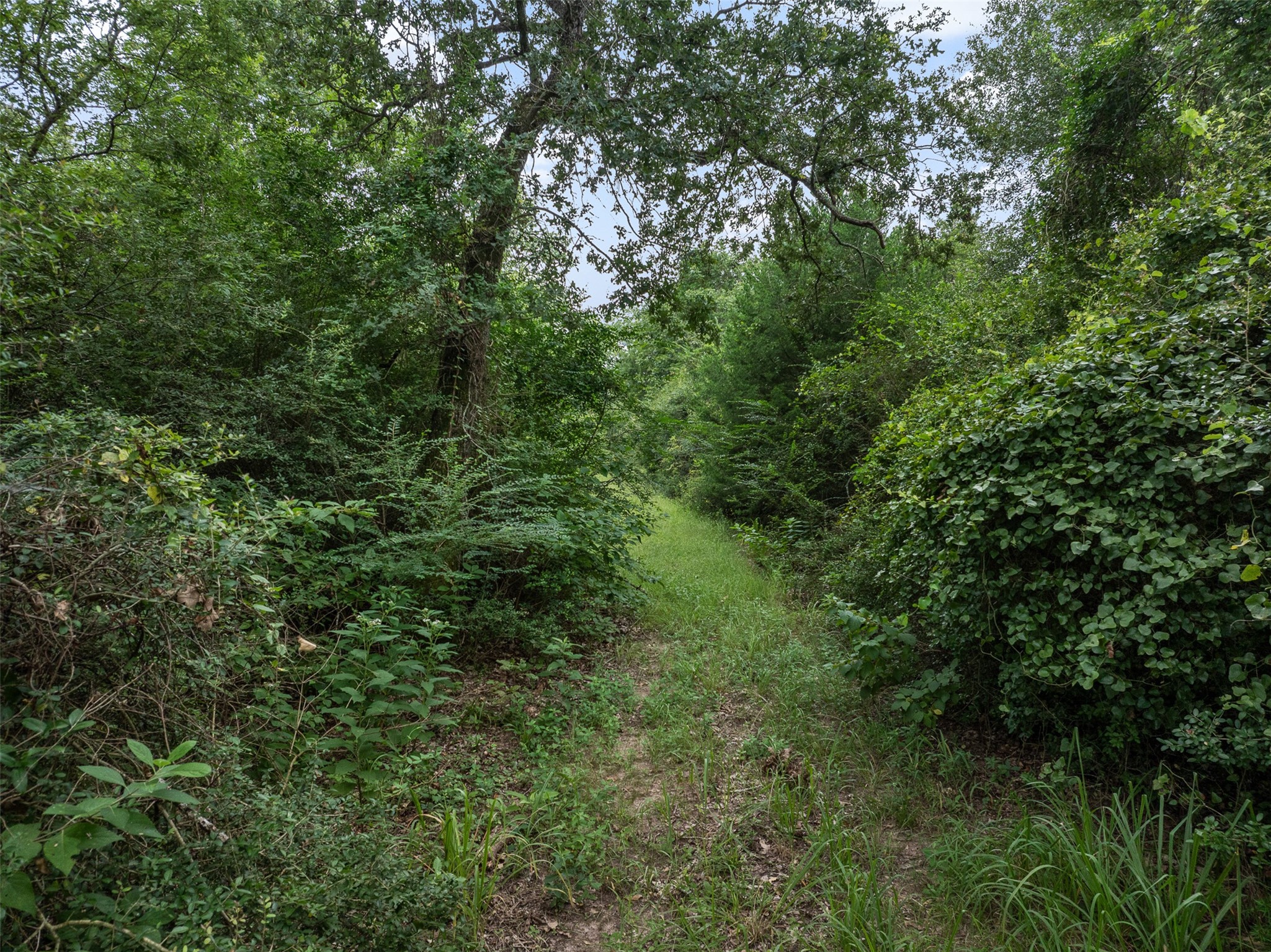 Tbd West Caney Road Normangee, TX 77871 - Photo 2 of 41