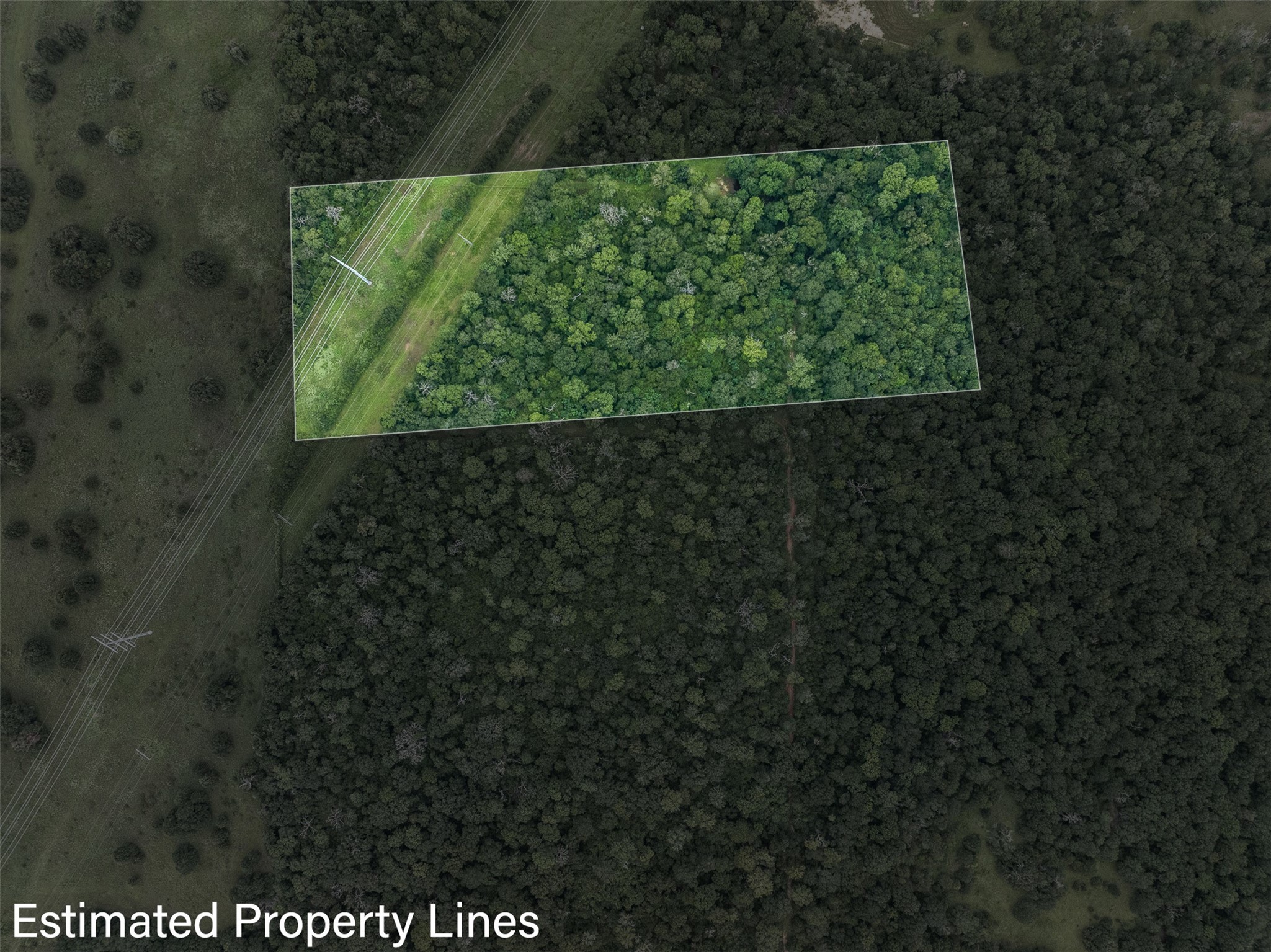 Tbd West Caney Road Normangee, TX 77871 - Photo 23 of 41 a view of a yard with plants