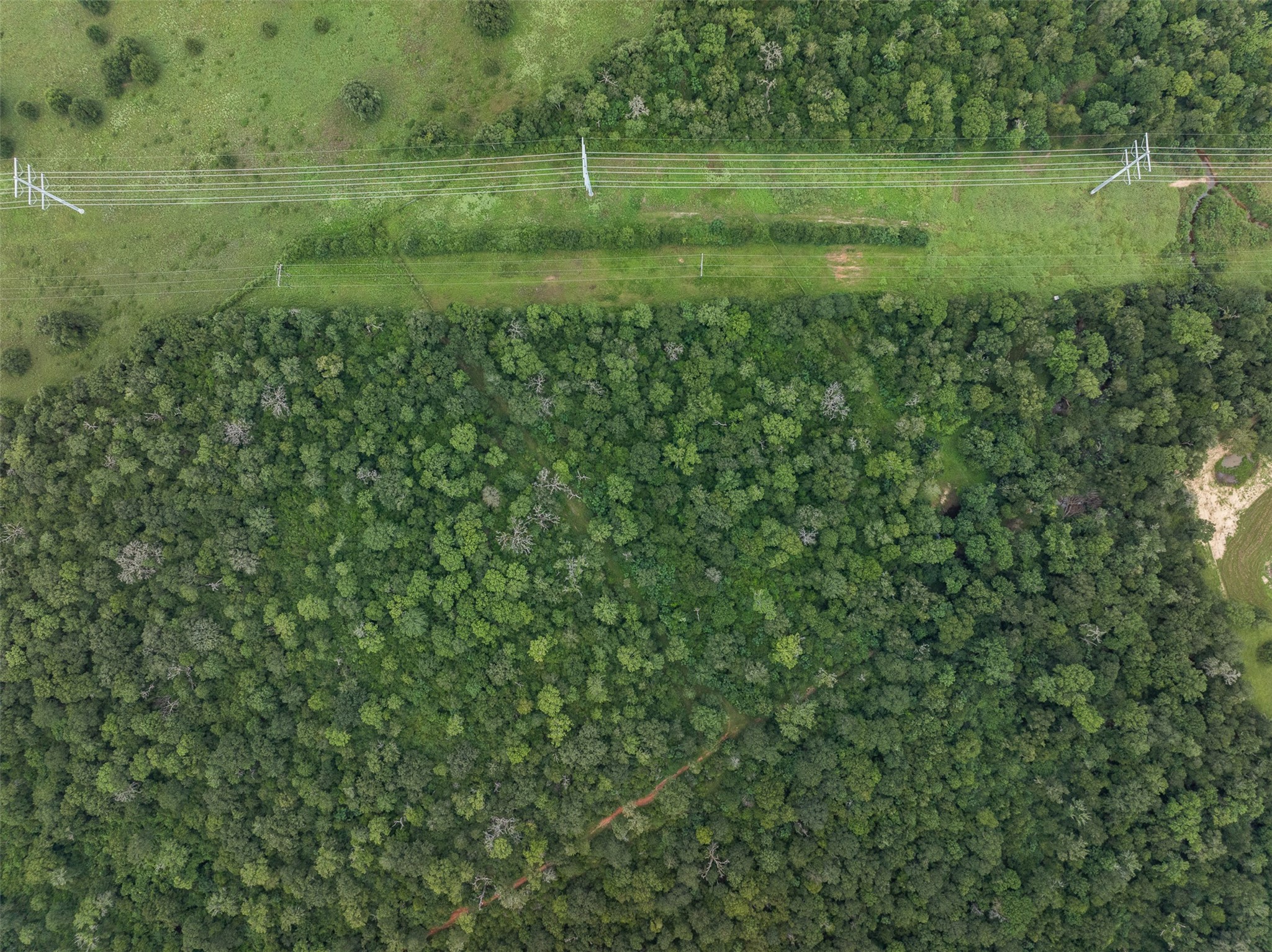 Tbd West Caney Road Normangee, TX 77871 - Photo 27 of 41 a view of a green field with a tree