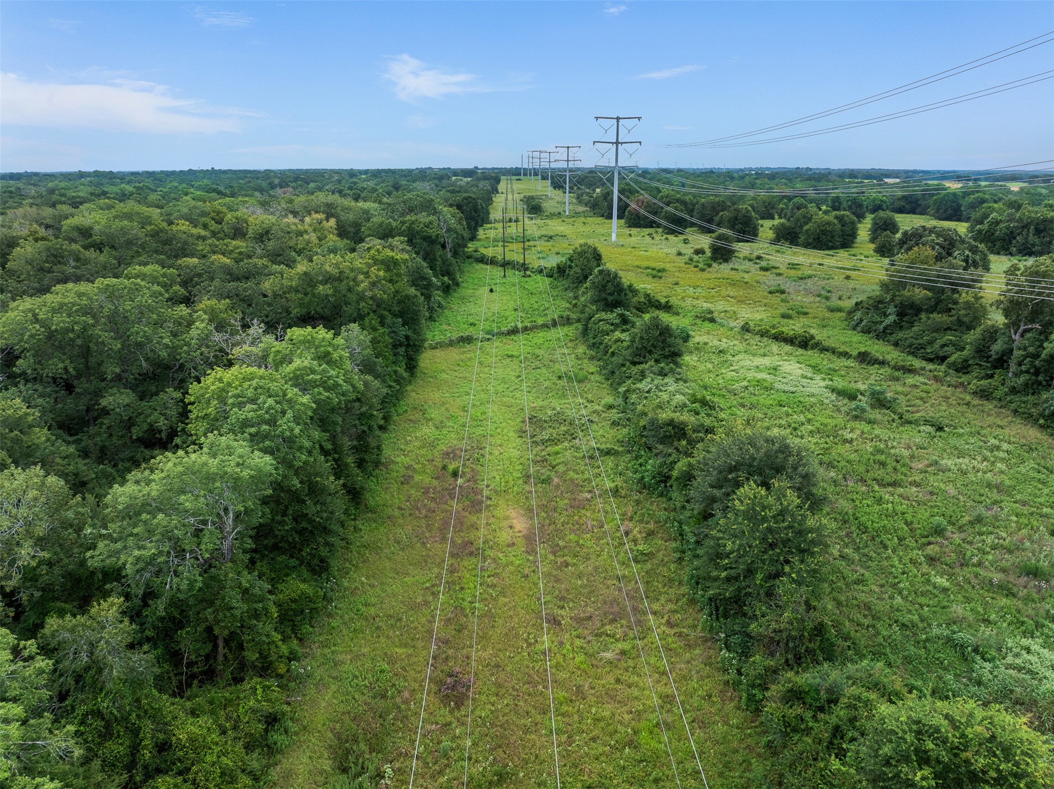 Tbd West Caney Road Normangee, TX 77871 - Photo 31 of 41 a view of a lush green space