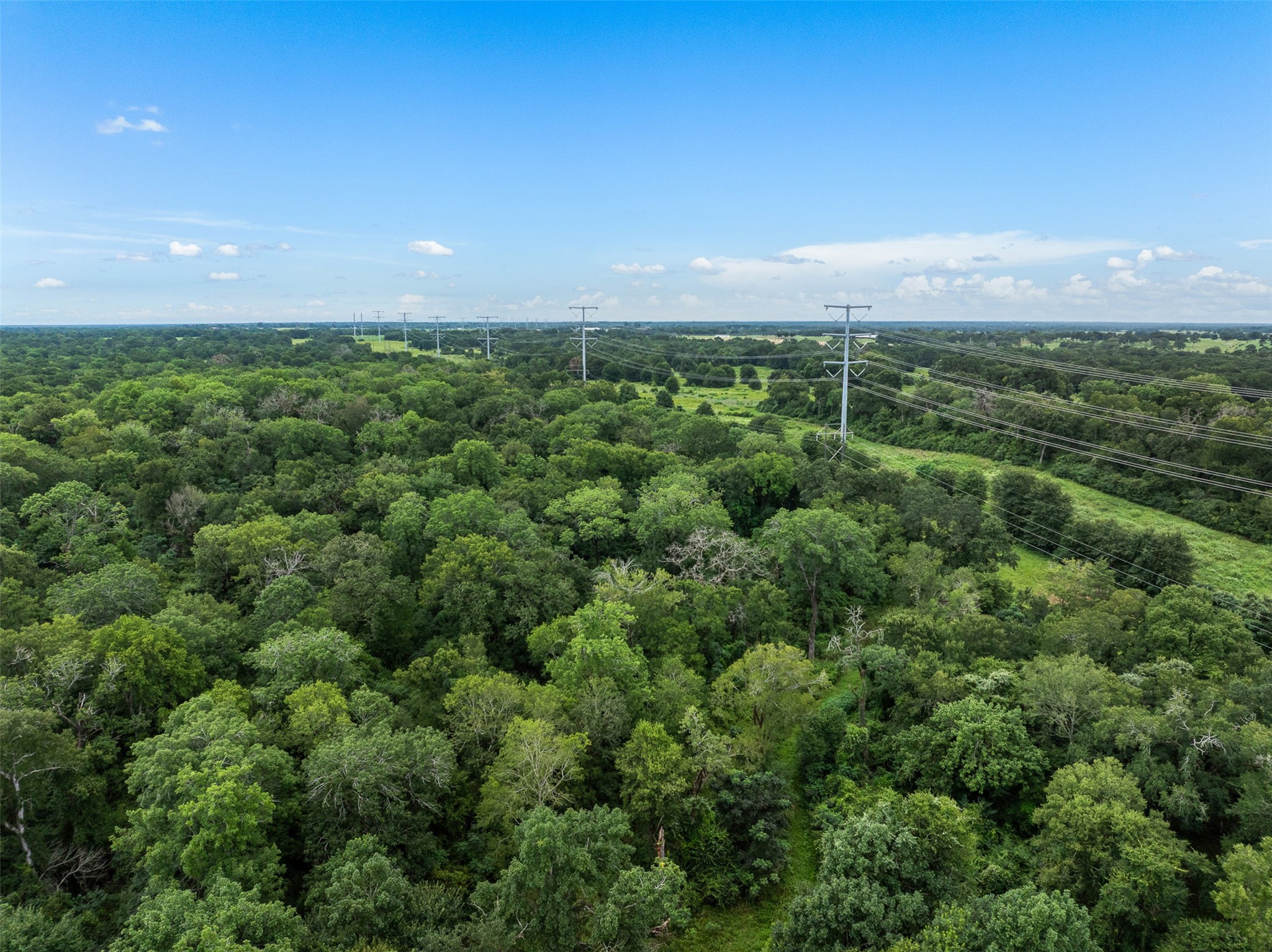 Tbd West Caney Road Normangee, TX 77871 - Photo 32 of 41 a view of a green field with lots of bushes