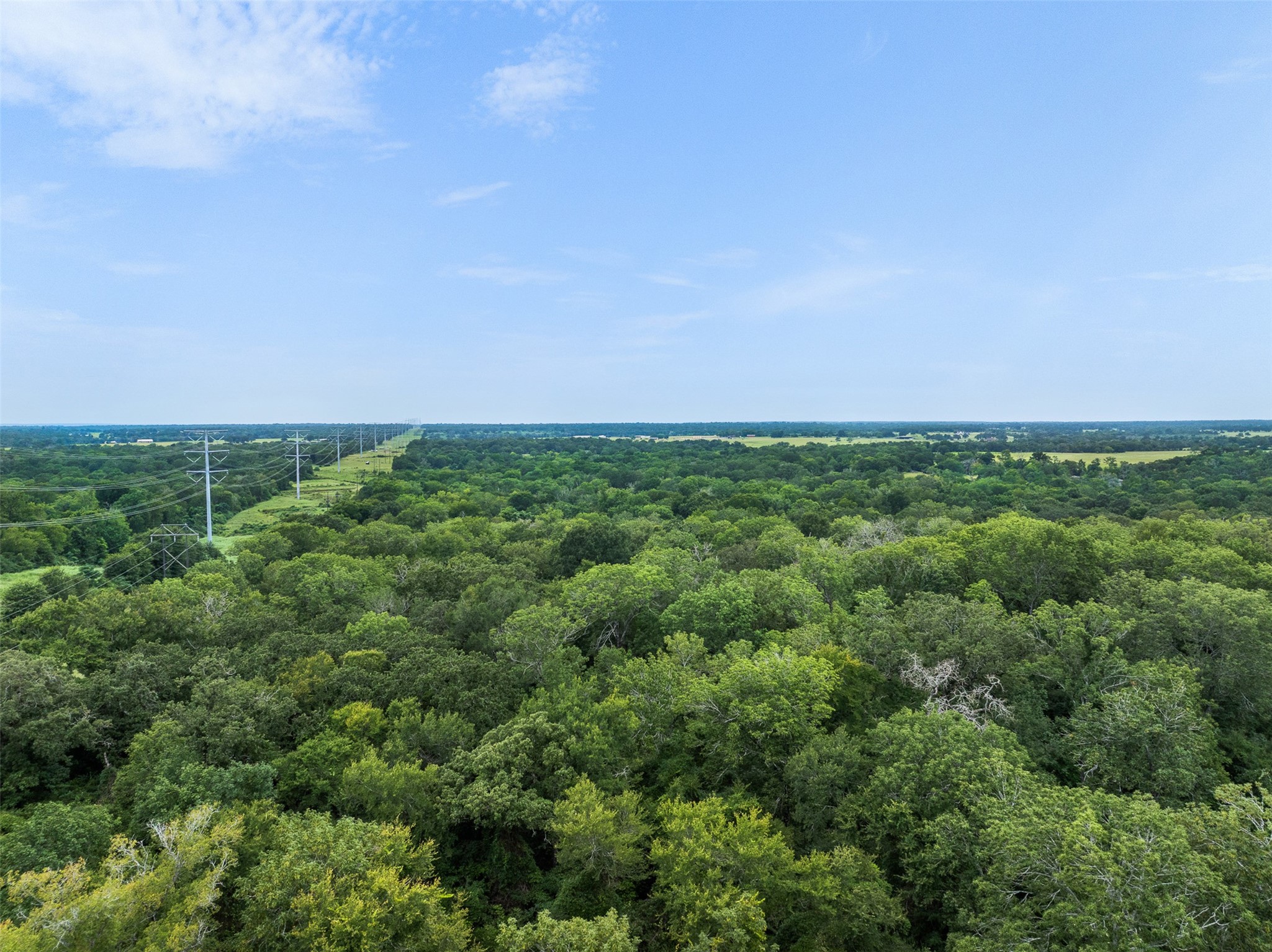 Tbd West Caney Road Normangee, TX 77871 - Photo 37 of 41 an outdoor space with lots of trees