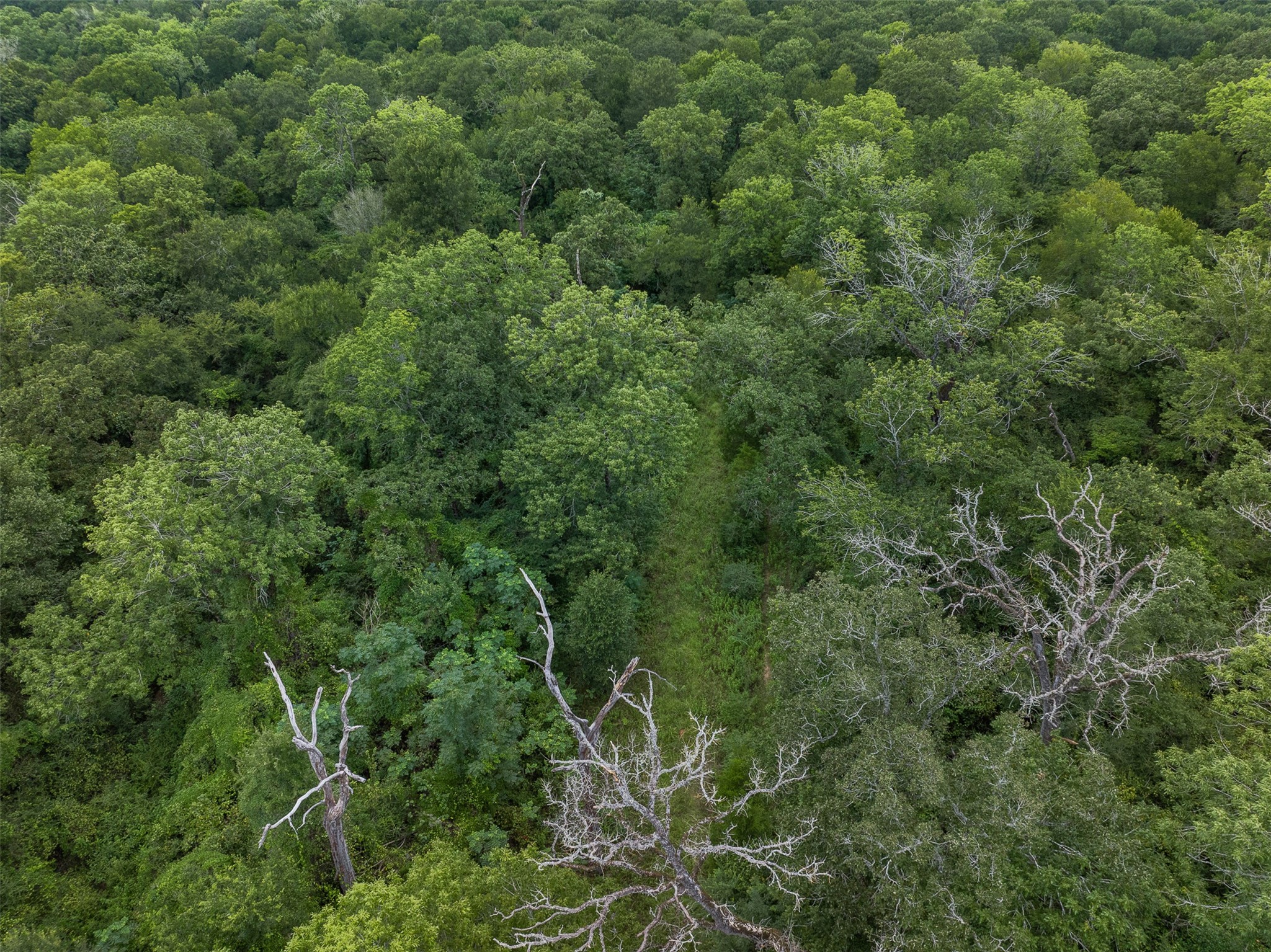 Tbd West Caney Road Normangee, TX 77871 - Photo 39 of 41 an aerial view of residential house with outdoor space and trees all around