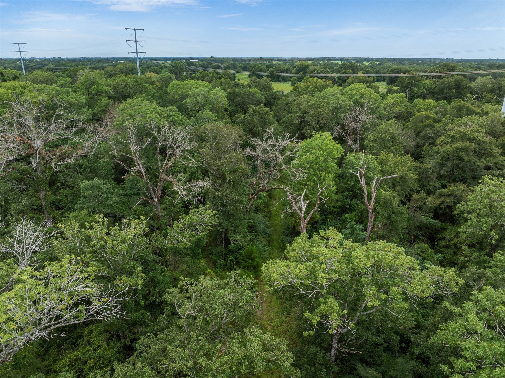 Tbd West Caney Road Normangee, TX 77871 - Photo 7 of 41 an aerial view of a city