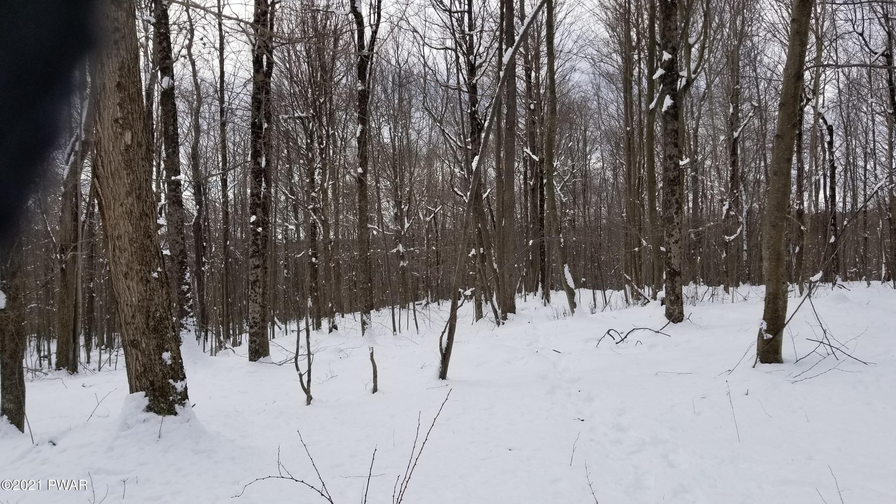 Lot 63 Old Woods Road Equinunk, PA 18417 - Photo 6 of 63