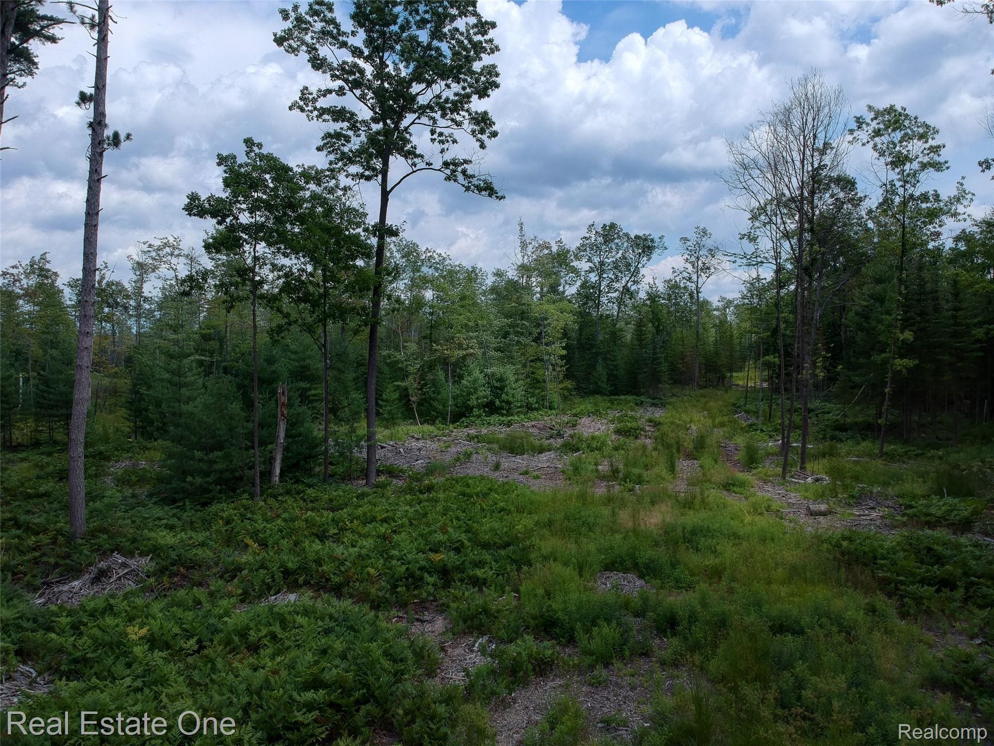 0 South Morrison Road Alger, MI 48610 - Photo 26 of 38 DJI-3485-6-7-MLS.jpg