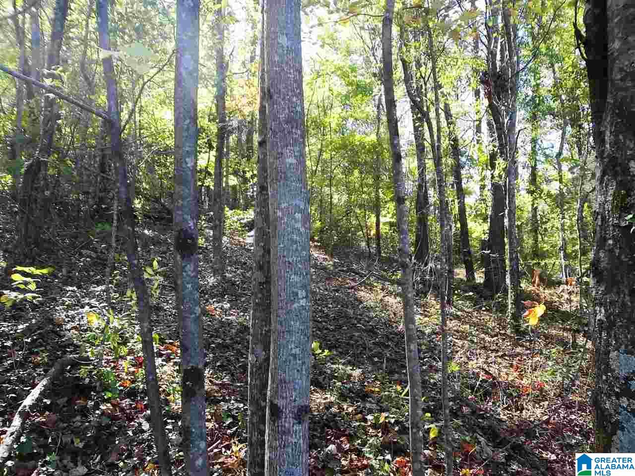 Okeechobee Road, Unit 3 Delta, AL 36258 - Photo 2 of 5
