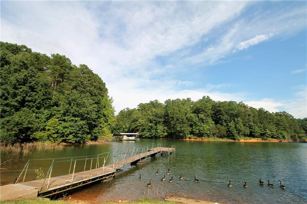 203 Snead Lane Westminster, SC 29693 - Photo 39 of 45 Courtesy dock beside launching site