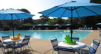 203 Snead Lane Westminster, SC 29693 - Photo 43 of 45 Swimming pool