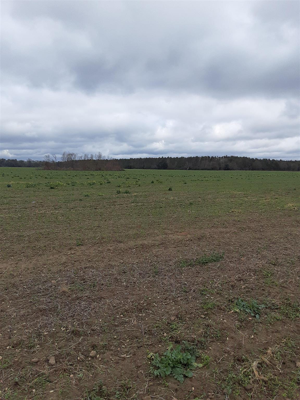 13501 Underwood Road Summerdale, AL 36580 - Photo 8 of 10