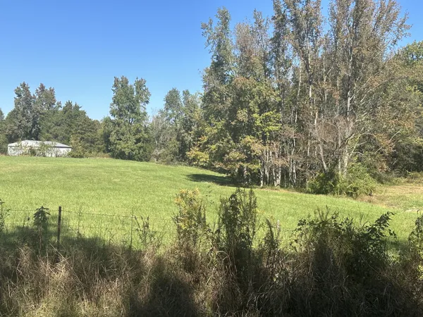a view of a field with an ocean