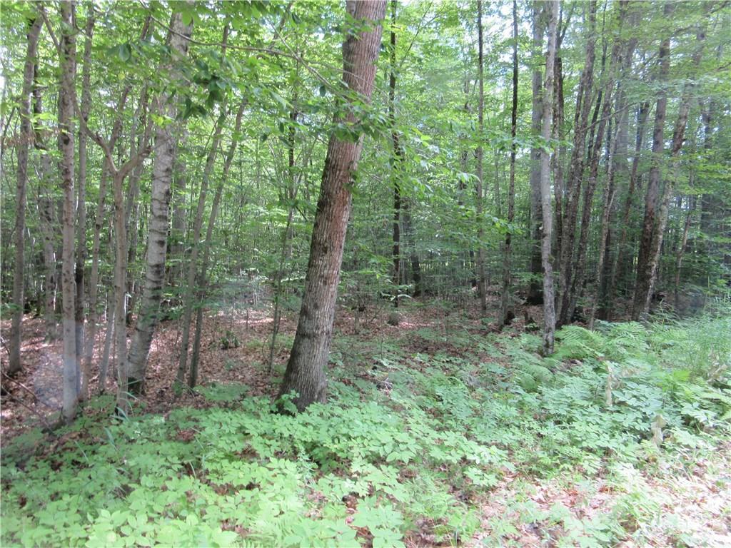 0 Southeast Bostwick Road Brunswick, ME 04011 - Photo 5 of 12 Photo