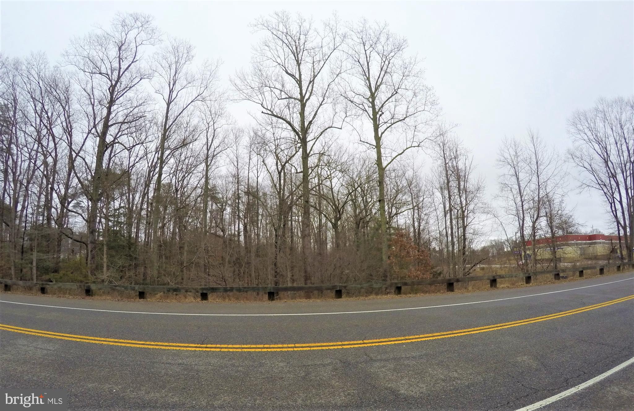 Millstone Landing Road Lexington Park, MD 20653 - Photo 3 of 5 a view of a trees