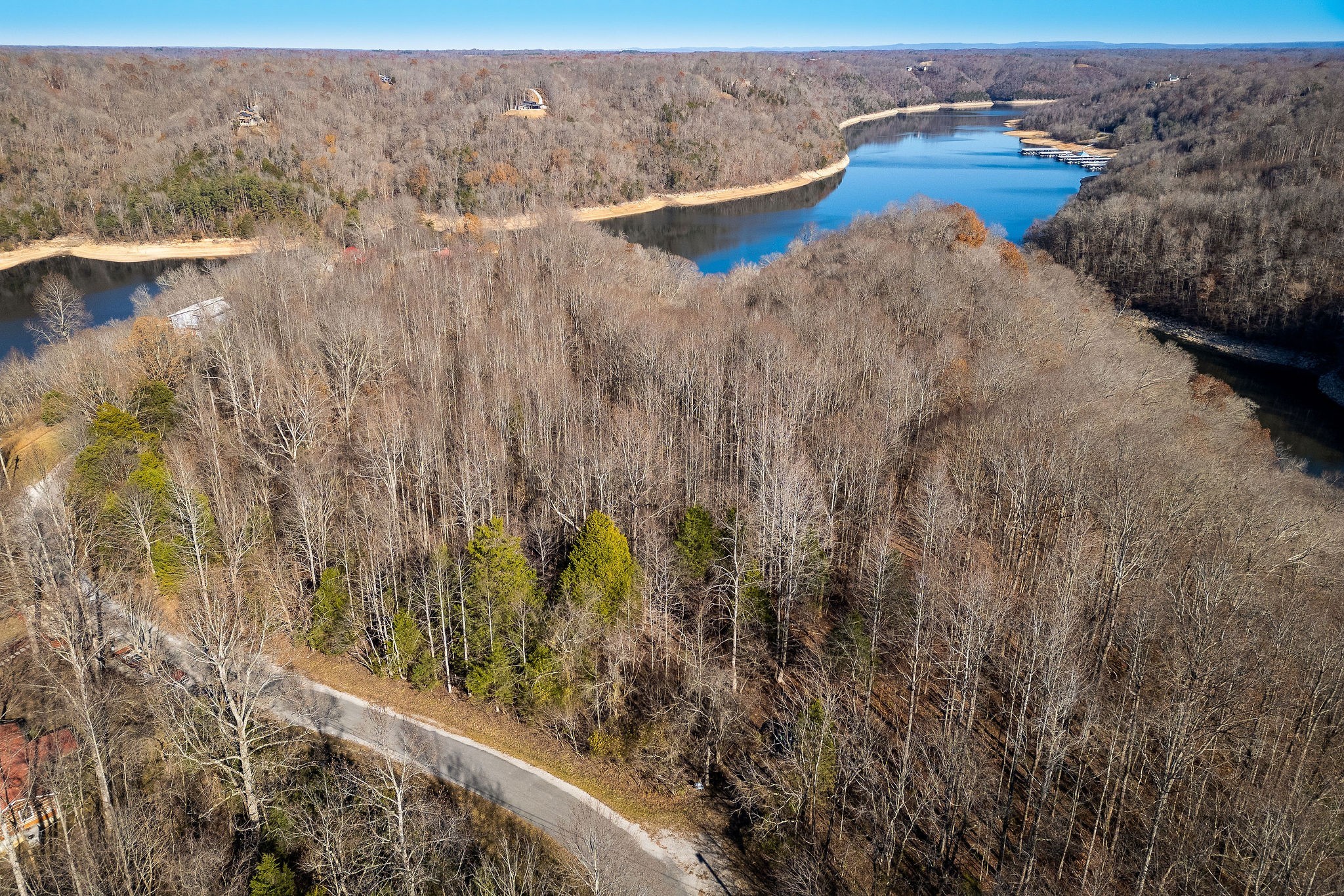 0 Stacey Road Smithville, TN 37166 - Photo 7 of 19