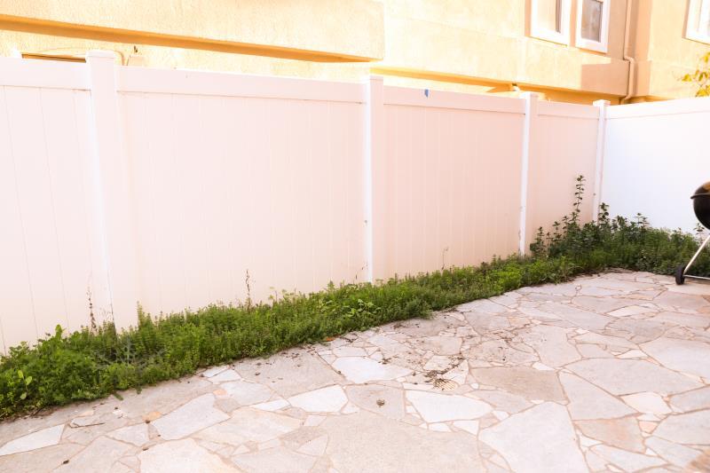 190 Rainbow Place Milpitas, CA 95035 - Photo 11 of 18 a view of a backyard with plants