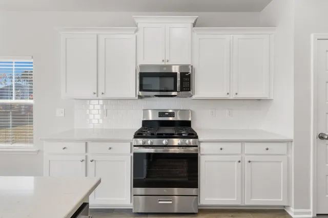 $2,700 | 225 Red Blf Street, Summerville, SC 29483