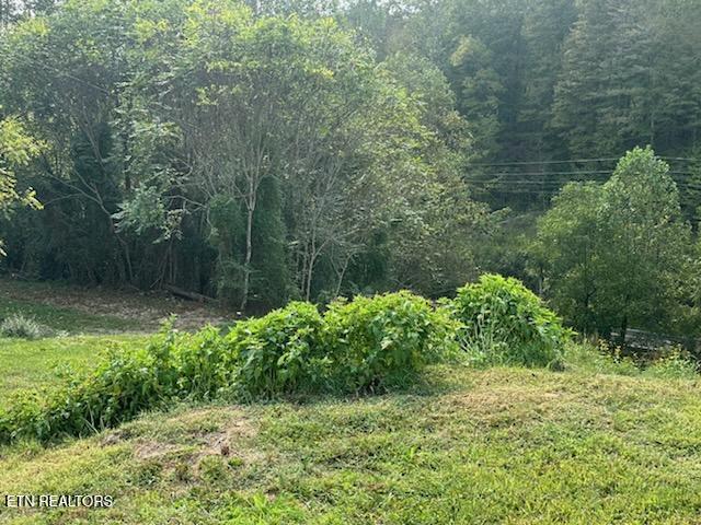 455 Alder Springs Road La Follette, TN 37766 - Photo 23 of 25 IMG953795 (1)