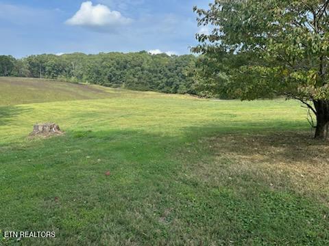 455 Alder Springs Road La Follette, TN 37766 - Photo 24 of 25 IMG953784 (1)