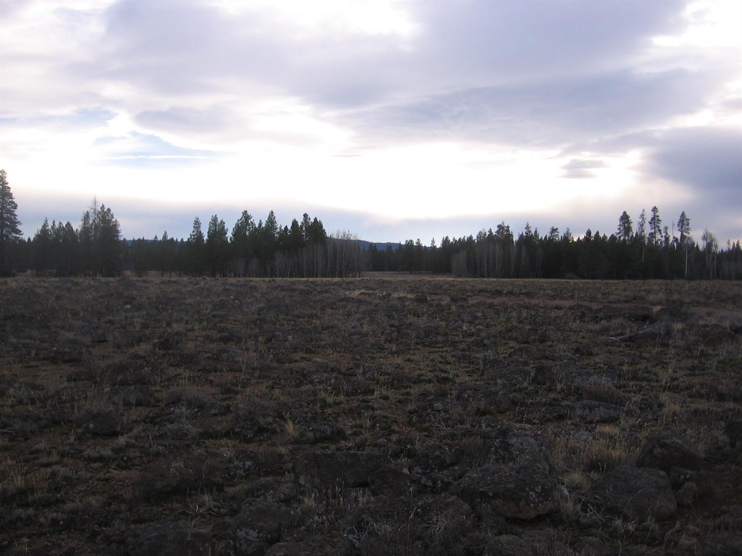 0 Bull Pine Rd (por) Bly, OR 97622 - Photo 5 of 11 Additional Photo