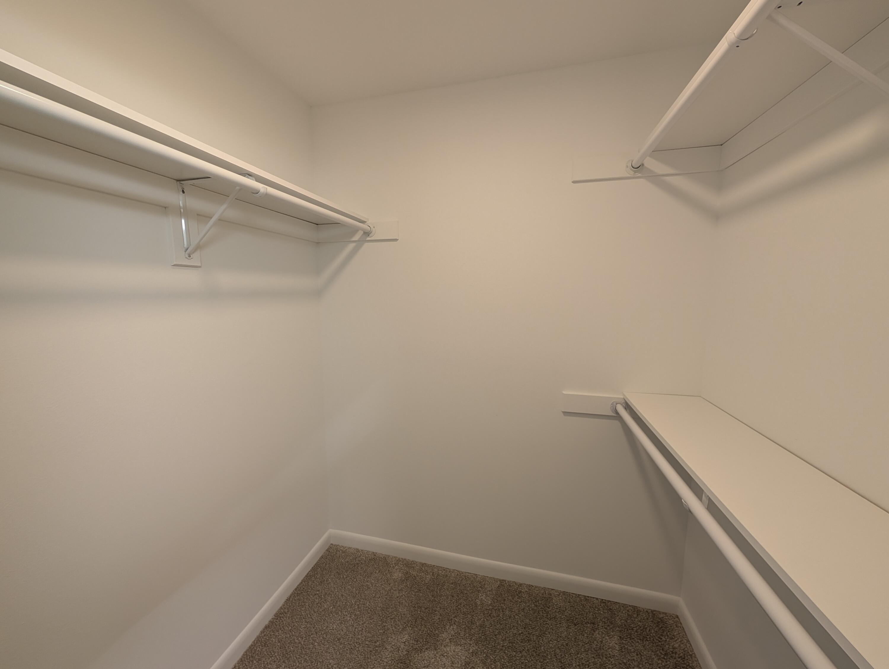 1011 South 2nd Street, Unit 11 Delavan, WI 53115 - Photo 15 of 25 Primary Closet