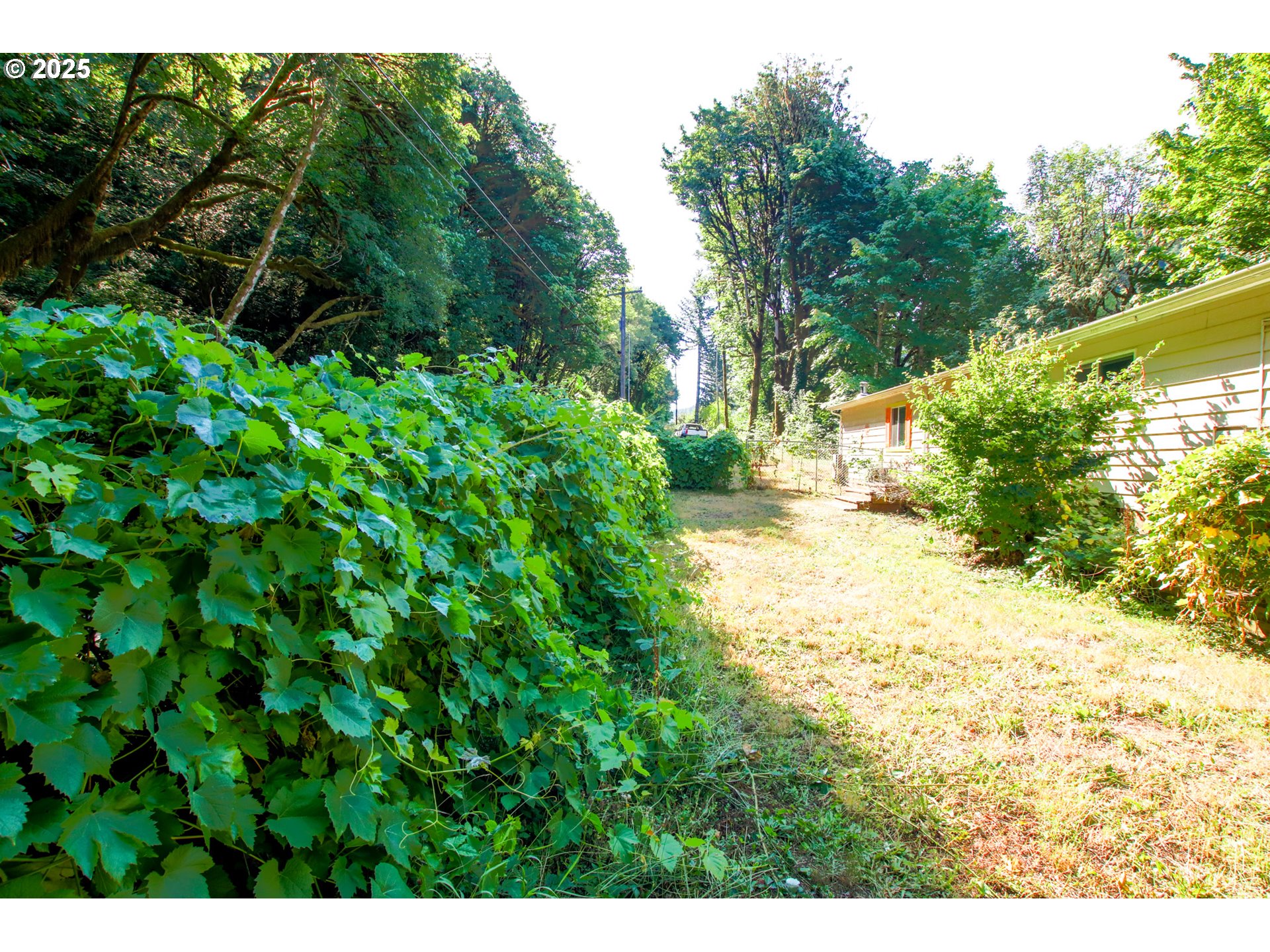 11425 East Mapleton Road Mapleton, OR 97453 - Photo 36 of 36