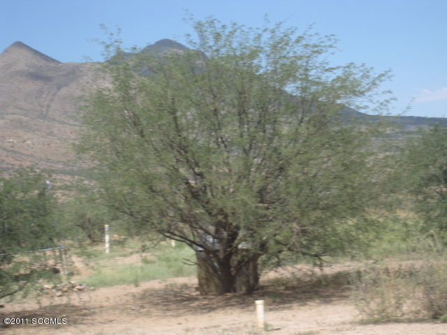 1179 Calle Remedios Rio Rico, AZ 85648 - Photo 16 of 17