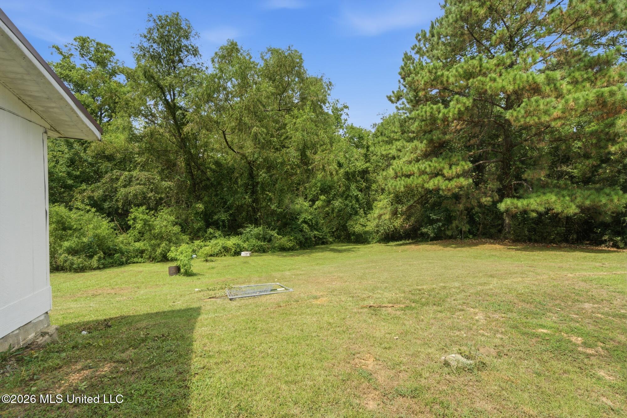 1508 Carterville Road Petal, MS 39465 - Photo 29 of 41 Outside Space