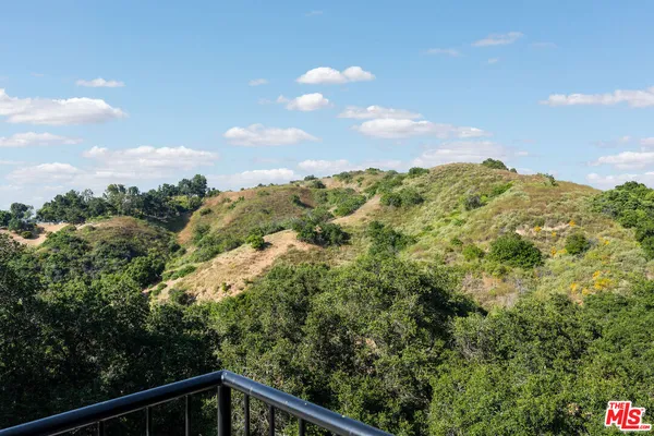 a view of a yard with plants and a fountain