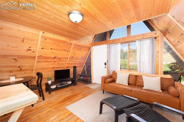 274 Midland Road Florissant, CO 80816 - Photo 4 of 18 Gallery Image 4
