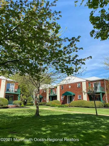 a view of a big yard with plants and large trees