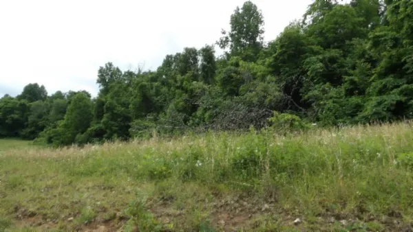 $450,000 | 0 Livingston Highway, Byrdstown, TN 38549