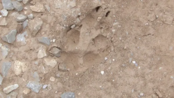 $450,000 | 0 Livingston Highway, Byrdstown, TN 38549