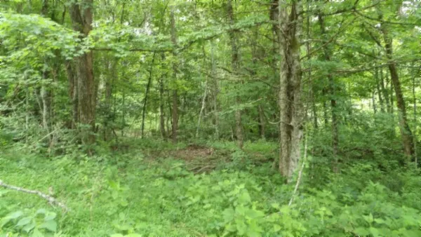 $450,000 | 0 Livingston Highway, Byrdstown, TN 38549