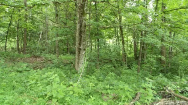 $450,000 | 0 Livingston Highway, Byrdstown, TN 38549