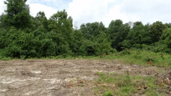 $450,000 | 0 Livingston Highway, Byrdstown, TN 38549