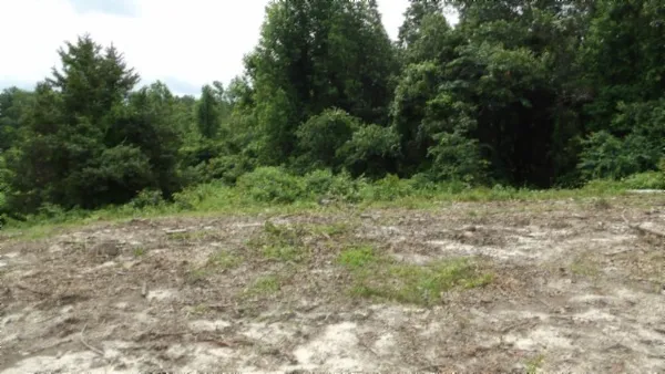 $450,000 | 0 Livingston Highway, Byrdstown, TN 38549