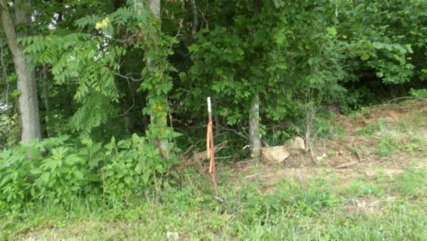 $450,000 | 0 Livingston Highway, Byrdstown, TN 38549