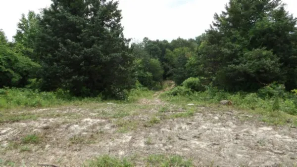 $450,000 | 0 Livingston Highway, Byrdstown, TN 38549