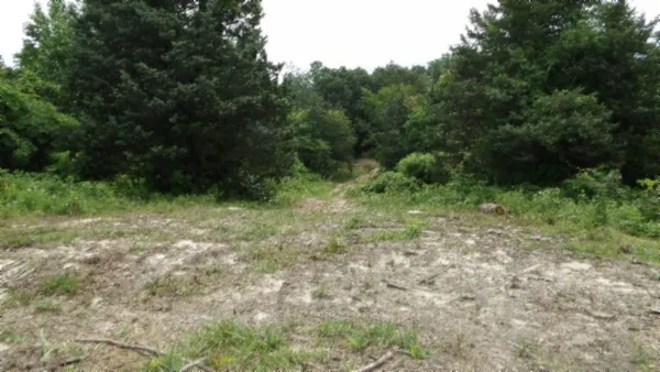 $450,000 | 0 Livingston Highway, Byrdstown, TN 38549