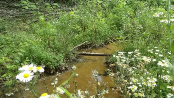 $450,000 | 0 Livingston Highway, Byrdstown, TN 38549