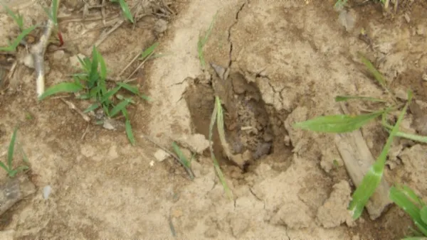 $450,000 | 0 Livingston Highway, Byrdstown, TN 38549