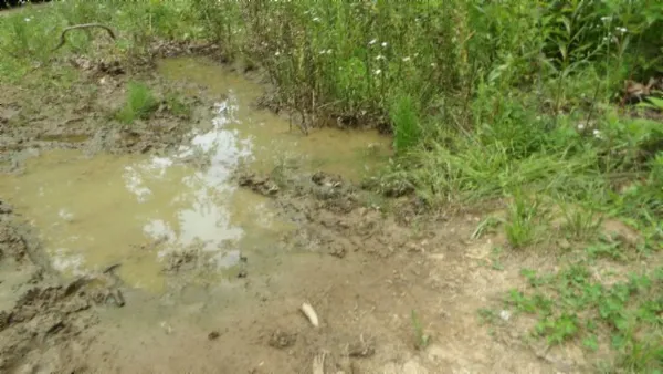 $450,000 | 0 Livingston Highway, Byrdstown, TN 38549