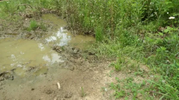 $450,000 | 0 Livingston Highway, Byrdstown, TN 38549