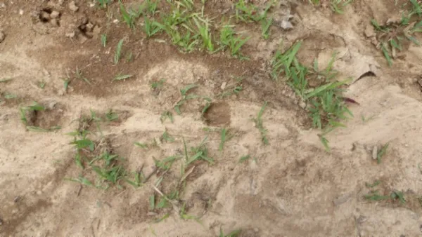 $450,000 | 0 Livingston Highway, Byrdstown, TN 38549